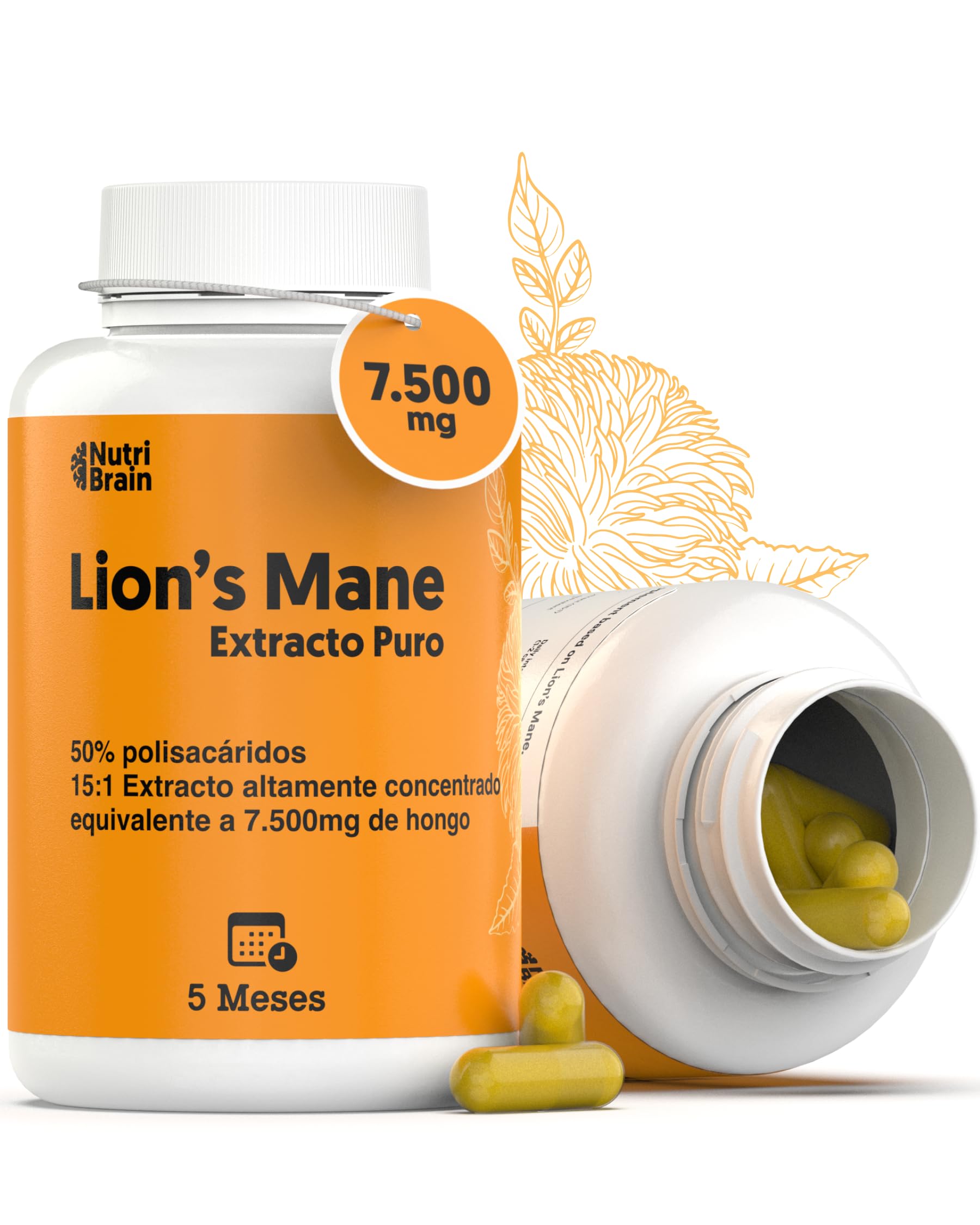 140ud Melena de León Pura 7500mg Ultraconcentrada 50% | NOOTRÓPICO Largo Plazo: Memoria, Concentración y Salud Cerebral | Bienestar Emocional y Gastrointestinal | 100% Cuerpos Fructíferos 15:1