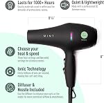Professional Series BLACKBIRD Ionic Hair Blow Dryer with Diffuser by MINT | Extremely Quiet and Lightweight with 1875 Watts of Salon-Grade Drying Power.