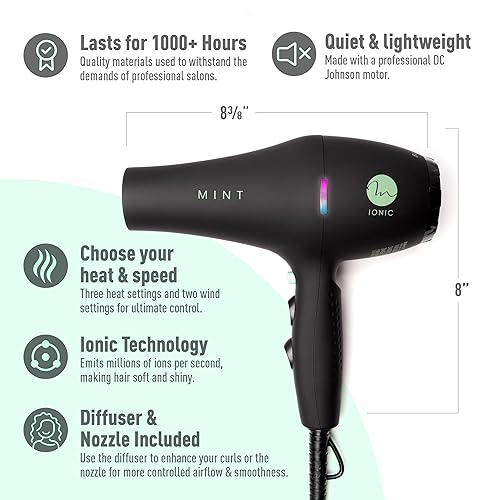 Miniatura 4 de Serie profesional BLACKBIRD - Secador de pelo iónico infrarrojo con difusor de MINT  Secador de soplado extremadamente silencioso y ligero con 1875
