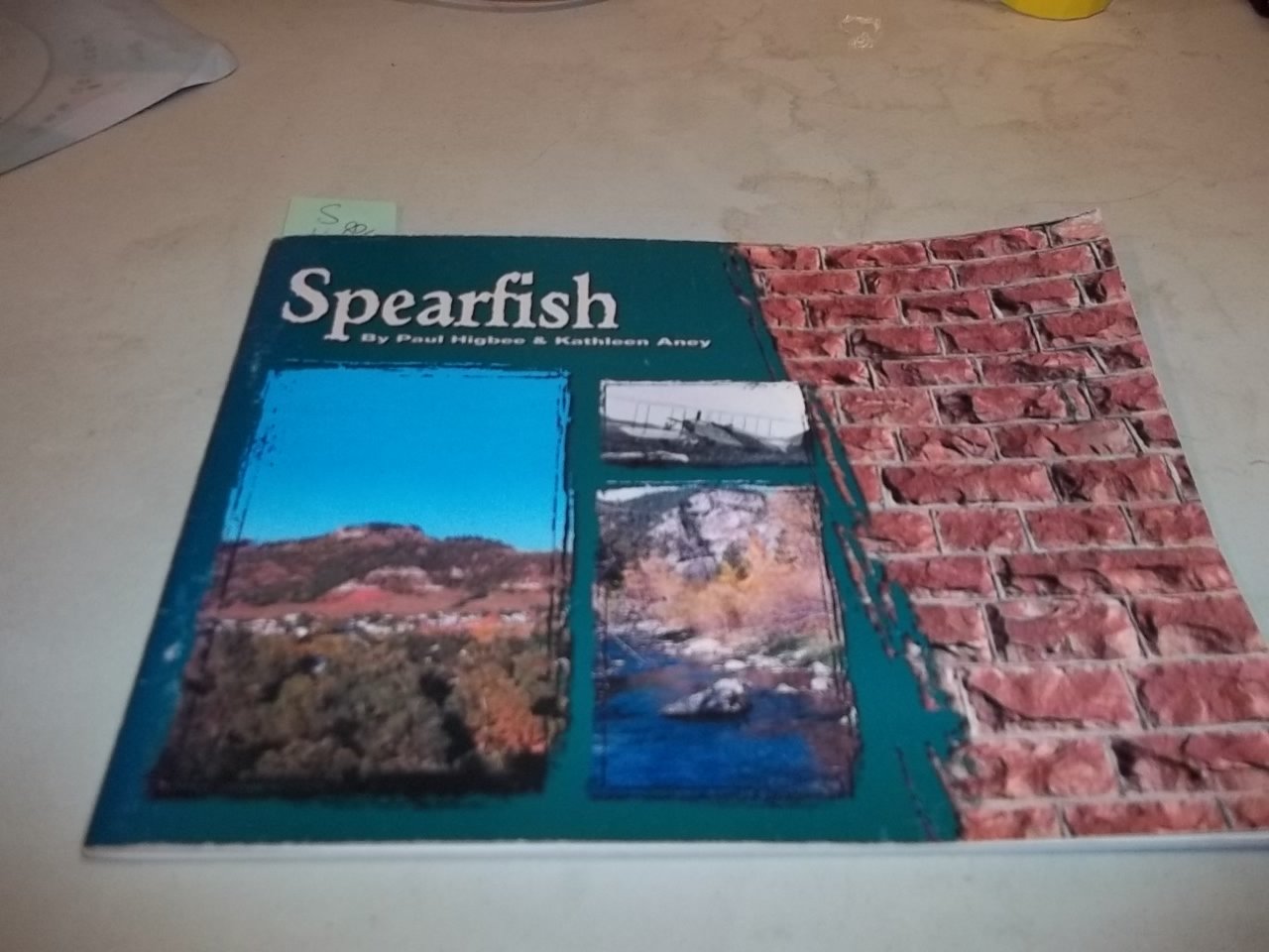 One Spirit, Many Peoples: A Manifesto for Earth Spirituality: Buhner ...