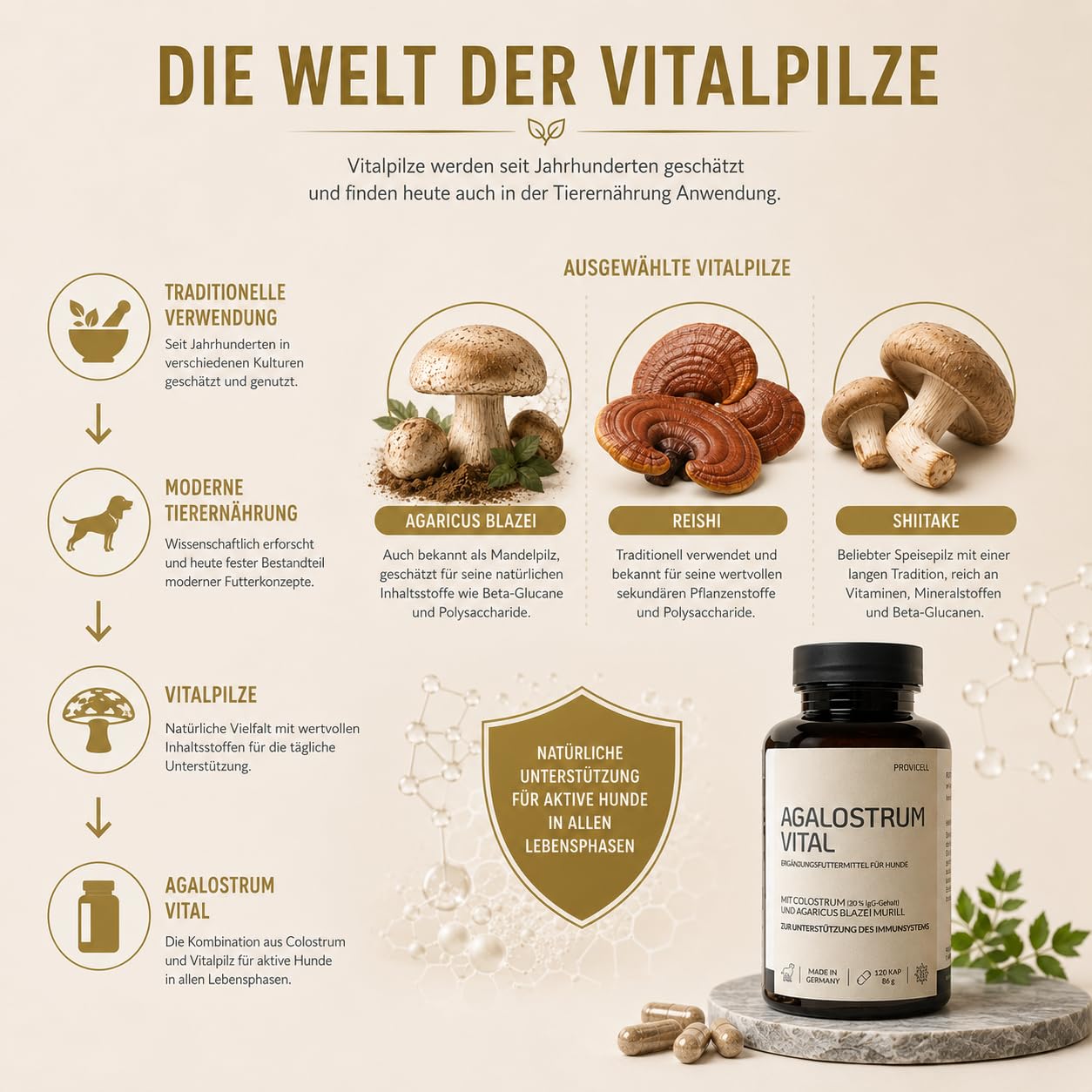 Agalostrum Vital für Hunde - Colostrum Kapseln für Hunde – 120 Kapseln – Mit Colostrum (20% IgG) & Mandelpilz – Zur Unterstützung des Wohlbefindens & Abwehrkräfte - Made in Germany