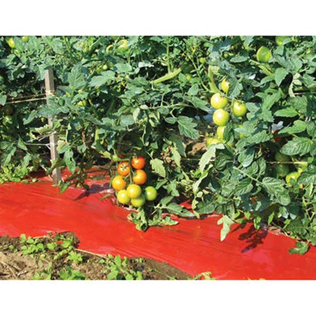 Pflanzliche Kunststofffolie gelocht, 5~50 m rote Pflanzmulchfolie, effizientere Folie for Anbau von Gemüsepflanzen, Folie zur Pflanzenpflege im Gewächshaus, Landwirtschaftsfolie, 1 Stück(15Meters)