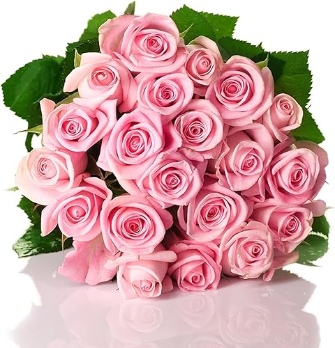 Miniatura 3 de Colección del Día de la Madre - SUPER PREMIUM 100 rosas rosas rosadas - Flores frescas al por mayor directo de la granja. Regalo para cumpleaños,