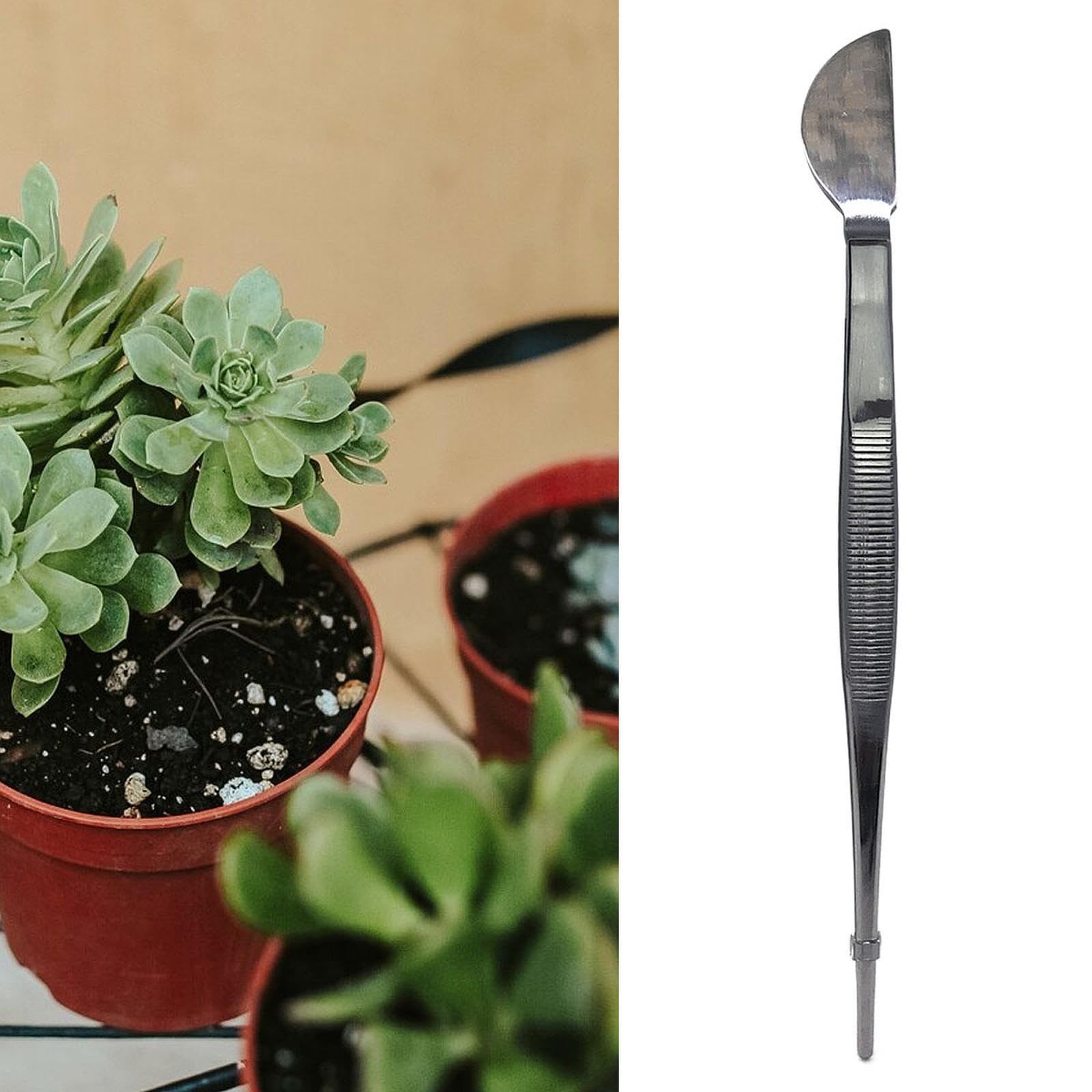 Generic Bonsai Tweezer Fish Tank Tweezer Portable Professional, Multipurpose, Gardening Tool Stainless Steel for Bonsai Yard, Curved