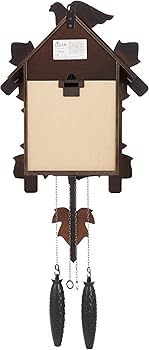 71wo0wtCokL._AC_UF350,