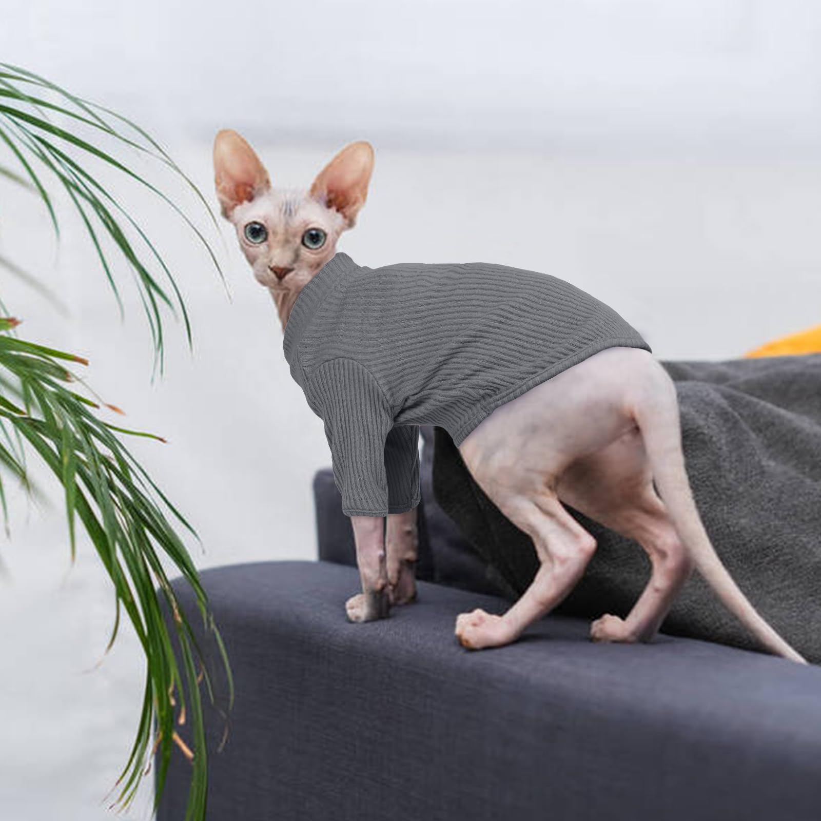 Cat Clothes, Sphynx Cat Clothing, Sphynx Cat Jumper, Cat Clothes For Cats Only, Hairless Cat Jumper, Breathable Cat Pyjamas, Warm Cat Coat, Cat Sweater, Cat Vest For Sphynx, Devon Rex-M — view 5