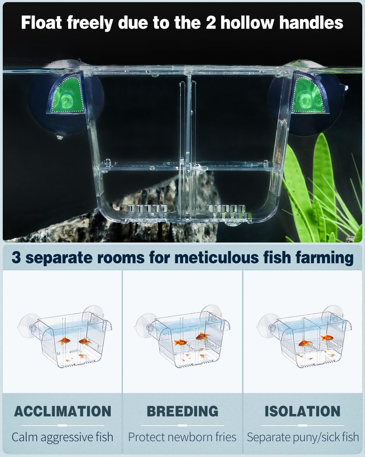 Pawfly Scatola di allevamento di pesci per acquario incubatrice per bambini con 6 ventose acrilica Gamberetti Betta piccola