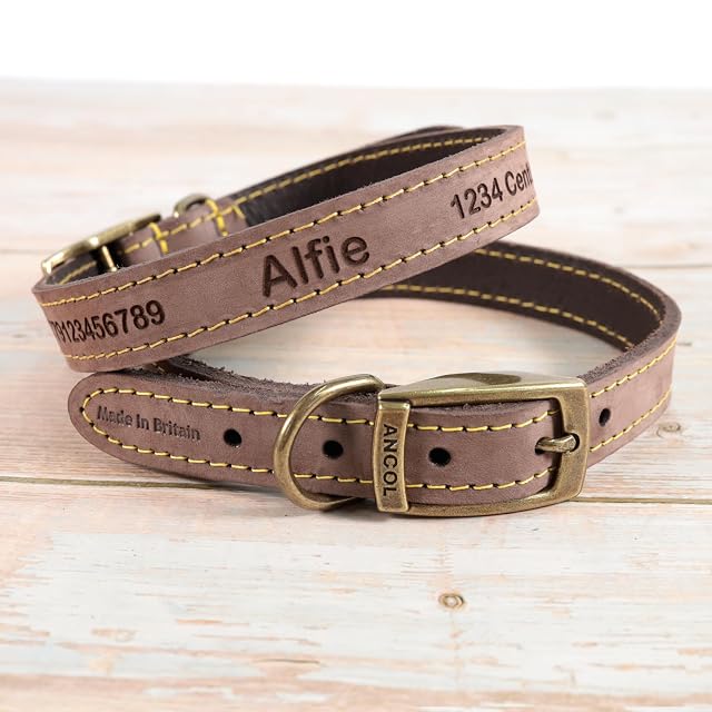 Foto 2 de 7 de Collar Personalizado de Cuero para Perros + Correa Opcional - Grabado con láser - Marrón, tamaño 8