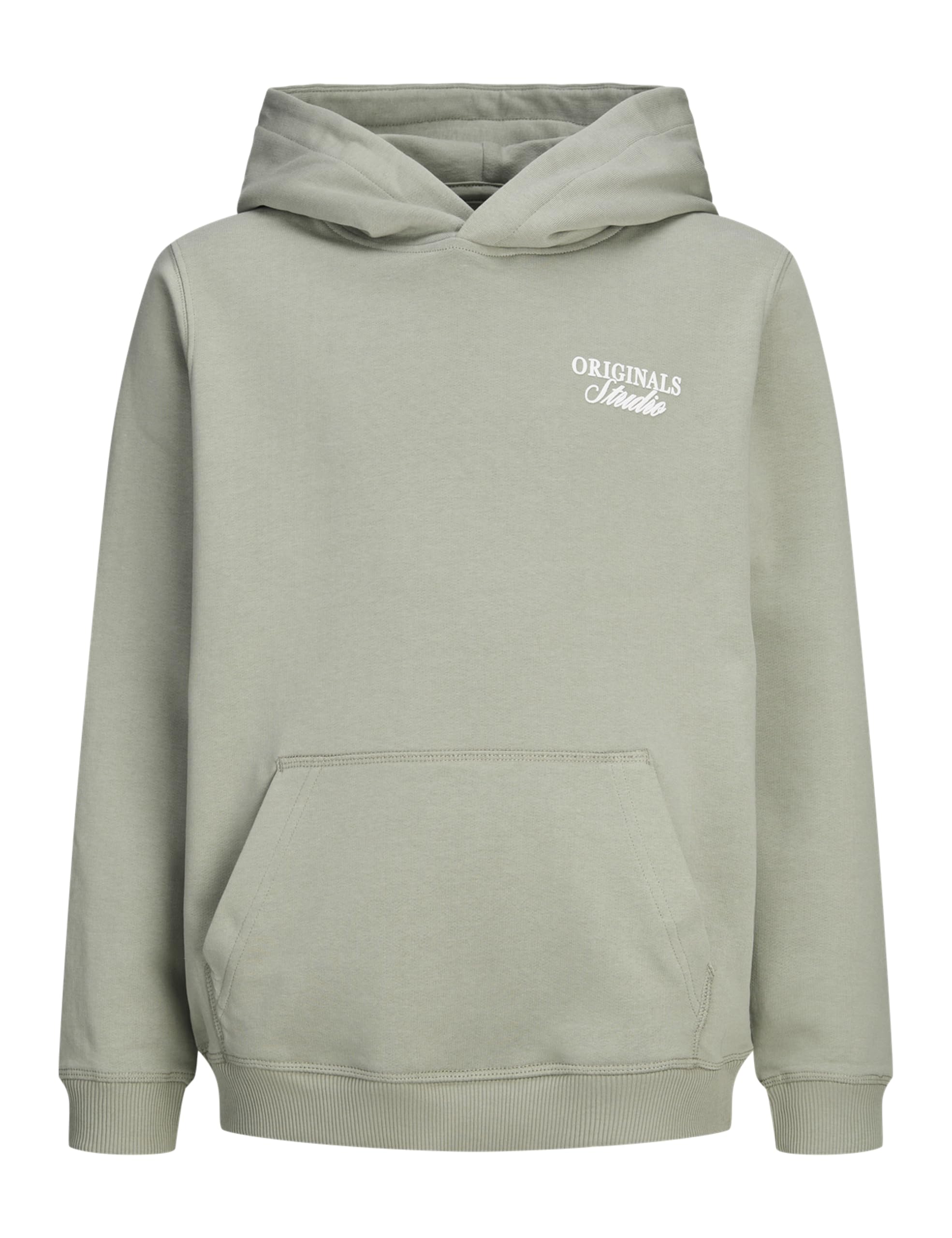 JACK & JONES Herren Jornorrebro Typo Back Sweat Hood Sn Jnr