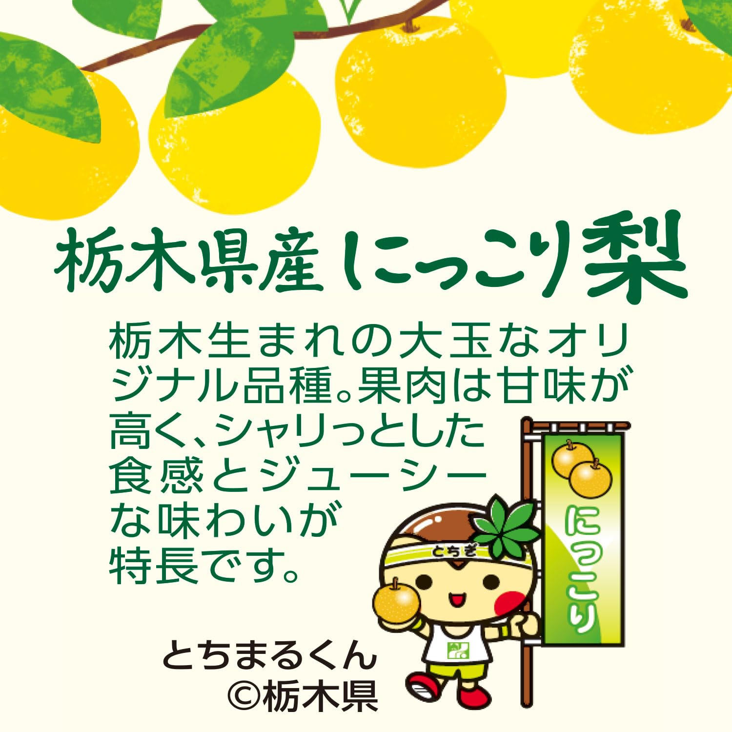 Amazon.co.jp: 伊藤園 にっこり梨 栃木県産 500g×24本 ニッポンエール