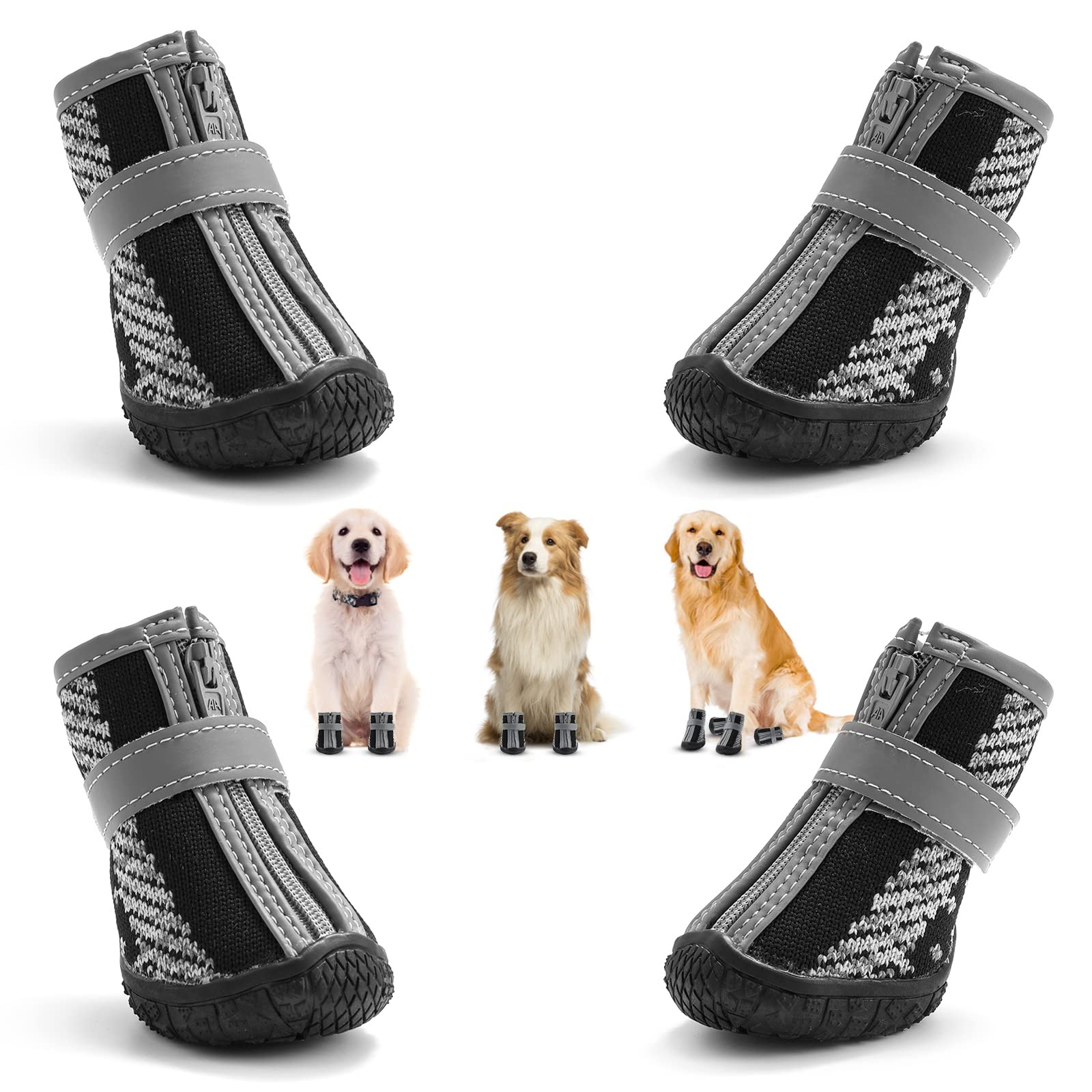 Is It Ok For Dogs To Run On Pavement