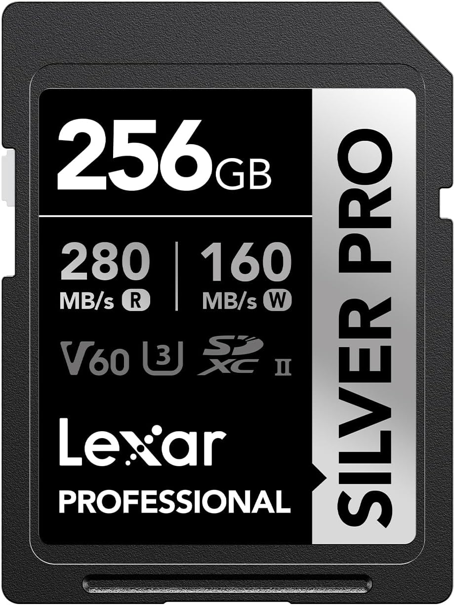 Lexar Professional 256GB Silver PRO SDXC UHS-II Memory Card, C10, U3, V60, Full-HD & 4K Video, Up to 280MB/s Read, for Professional Photographer, Videographer, Enthusiast (LSDSIPR256G-BNNNU)