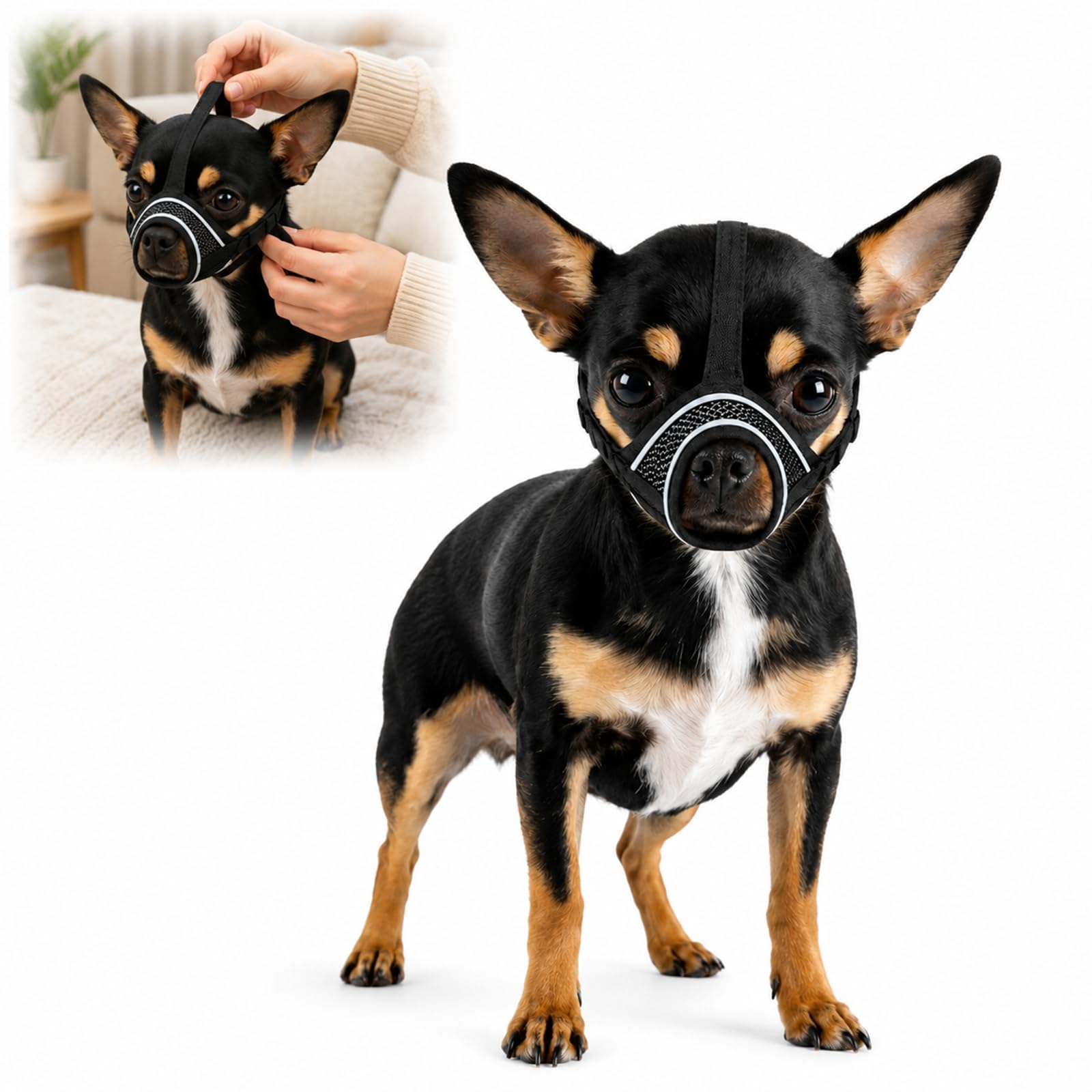 Breathable Mesh Dog Muzzle for Small Dogs - Adjustable Headband, Secure Strap, Quick Release Buckle, Reflective Strip for Night Walks, for Training & Chewing Control, Size S (S)