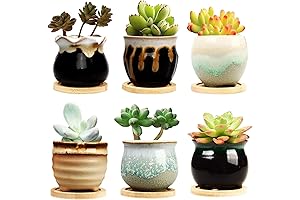Brajttt Succulent Pot with Drainage - 2.5 Inch Mini Plant Ceramic Pots