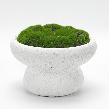 NAHARO New Moss Bowl, 6Handmade Cement BowlArtificial Moss Centerpiece for Home Decoration, Living Room, Office, or Coffee Table Display