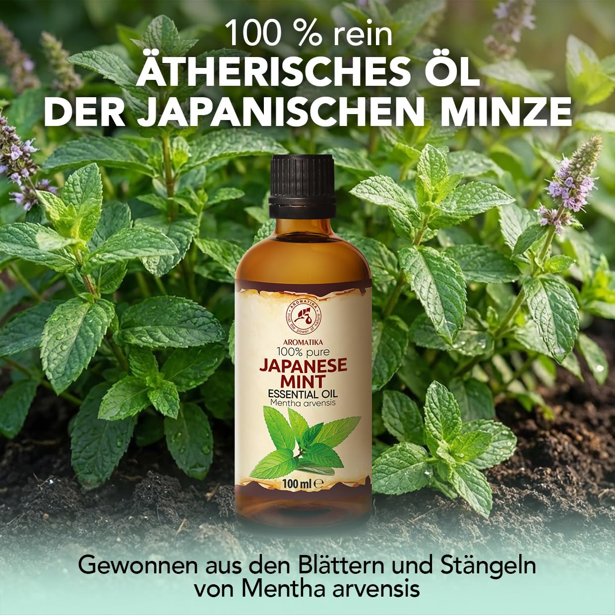 Ätherisches Öl Der Japanischen Minze 2x100 ml - Mentha Arvensis - Reines Ätherisches Minze Öl - für Diffusers und Duftlampen - Frischer Aroma - Minzduft - Aromakerze - Lufterfrischer - Aromatherapie