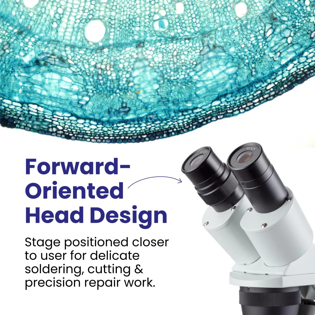 AmScope - Microscopio stereo senza fili LED per illuminazione superiore e inferiore 20X-40X.