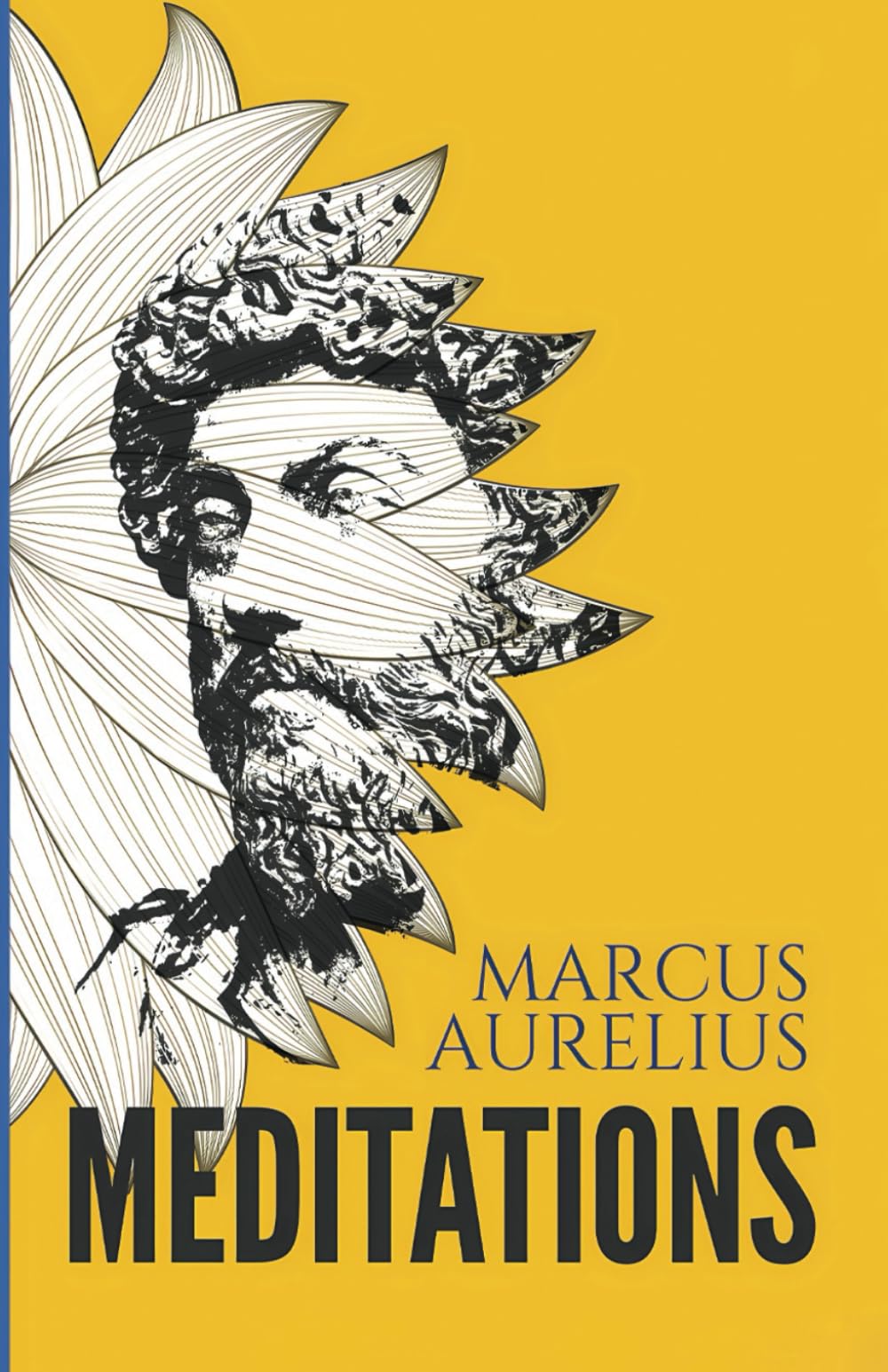 Meditations: A New Translation