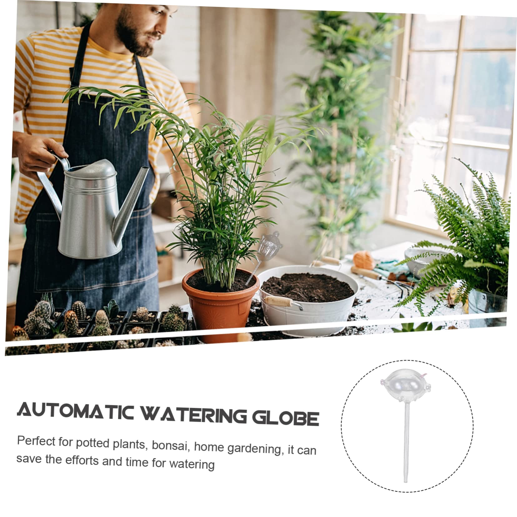 Toyvian 4 Pezzi Irrigatore per Piante Dispositivo Innaffiatura Trasparente Forma per Giardinaggio e Piante