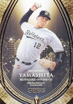 2023 BBM ジェネシス 髙橋宏斗 山下舜平大 コンボサインカード 2023 BBM ジェネシス 髙橋宏斗 山下舜平大 コンボサインカード