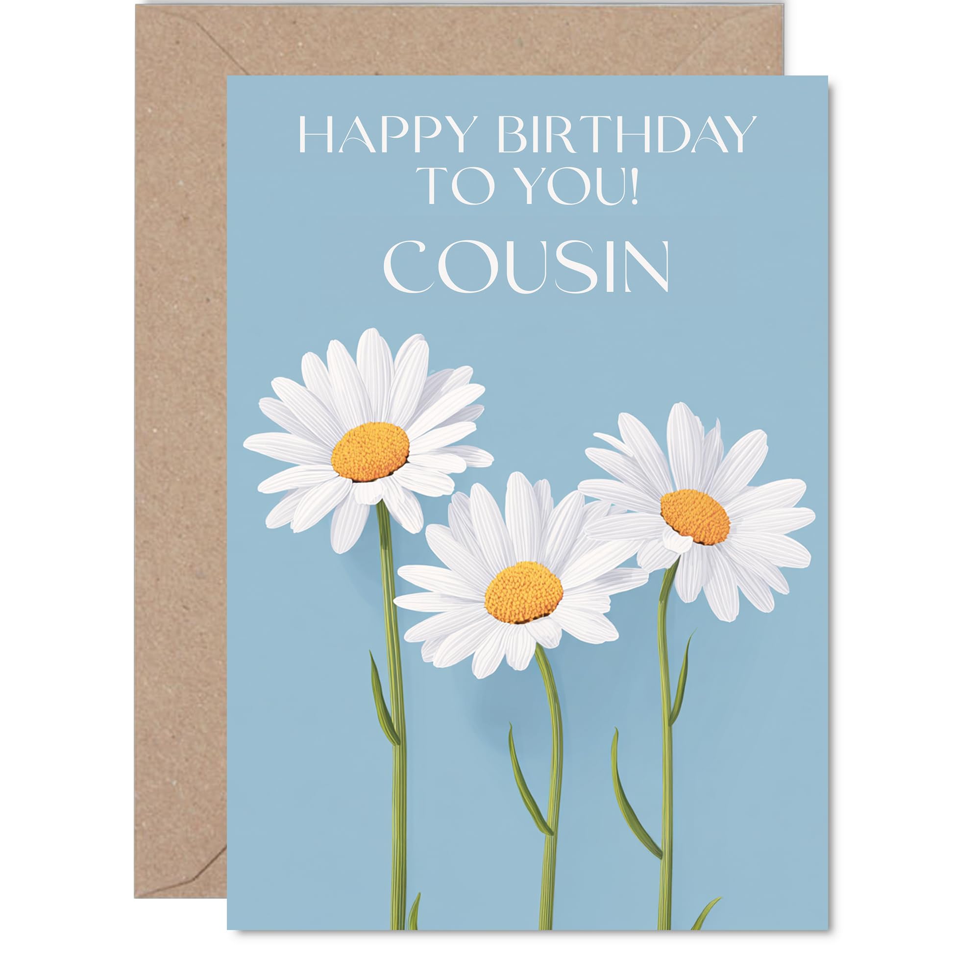 Cousin Birthday Card - Wild Daisies - Happy Birthday Card for Cousin from Family Relative, A5 Floral Flowers Bday Greeting Cards