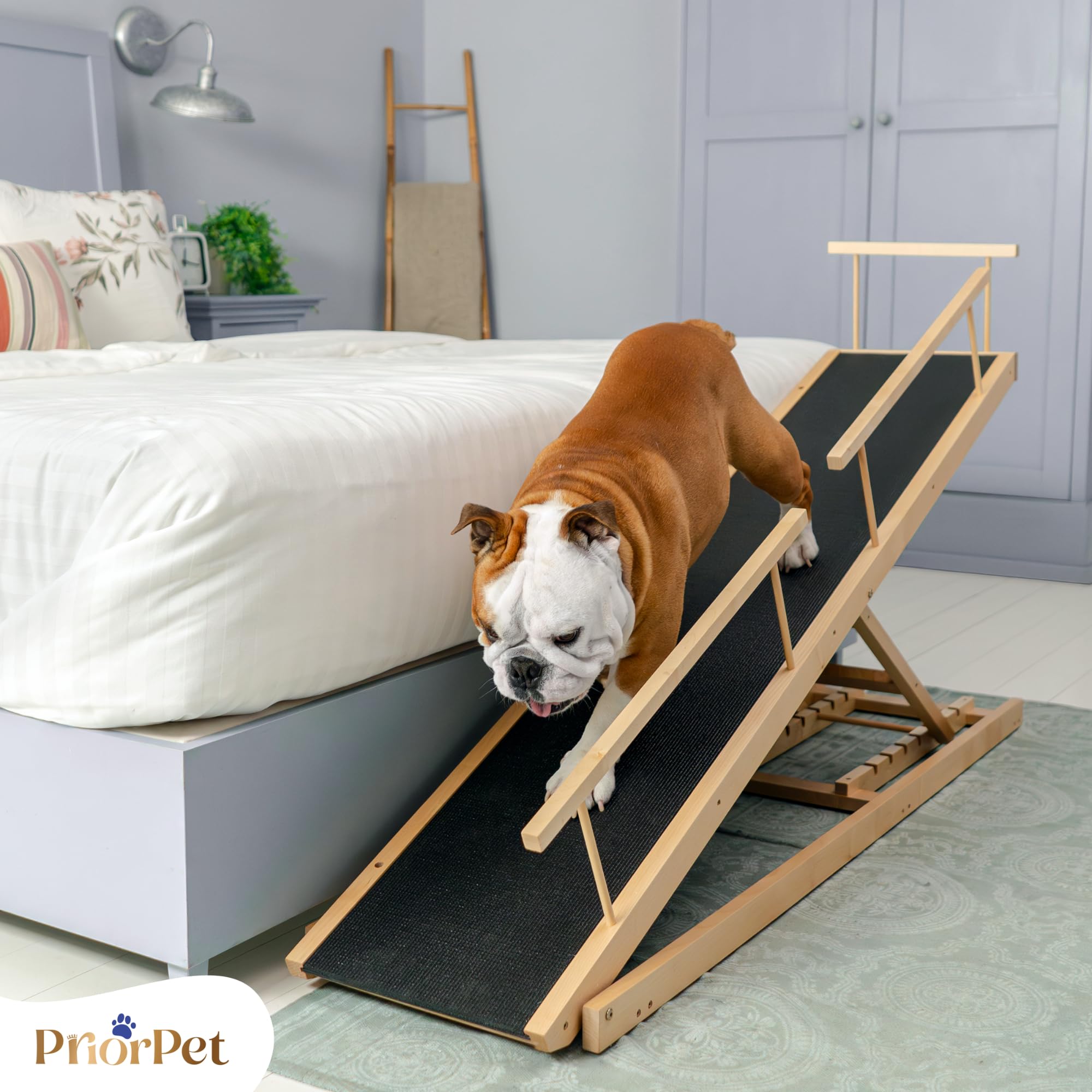 Rampe pour Chien Lit avec Barrières de Sécurité - Escalier pour Chien PRIORPET - Bois de Bouleau - pour Lit Haut jusqu'à 94.5 cm - Pliable -Poignée antidérapante-pour Les Chiens jusqu'à 23kg- Naturel