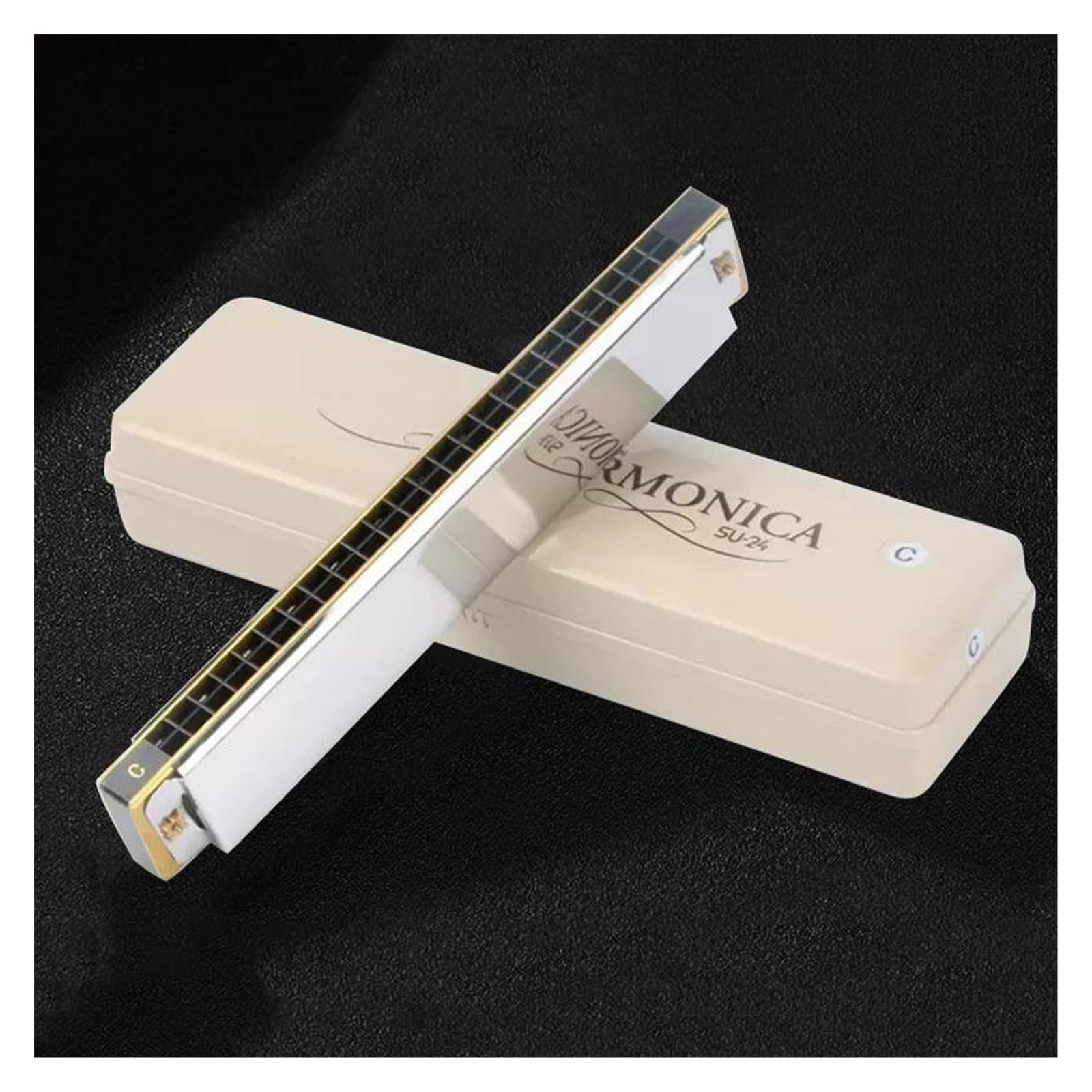 Armonica Tremolo Ottava Armonica Chiave di C 24 Fori Organetto a bocca Tremolo professionale