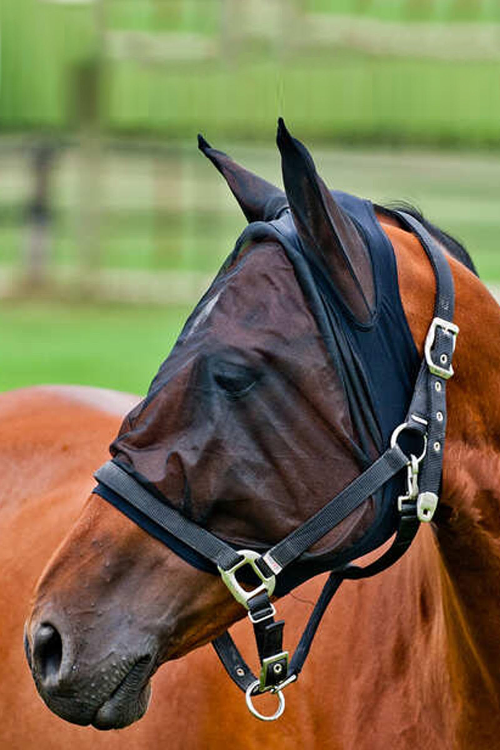 HORZE Soft Comfort Spandex Insect and Fly Mask for Horses - Black - Cob