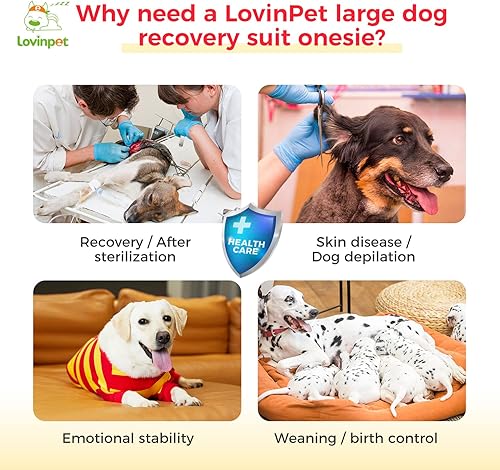 Miniatura 4 de LovinPet Enterizo de recuperación para perro después de la cirugía, traje profesional de recuperación para perros grandes, banda ancha, rojo,