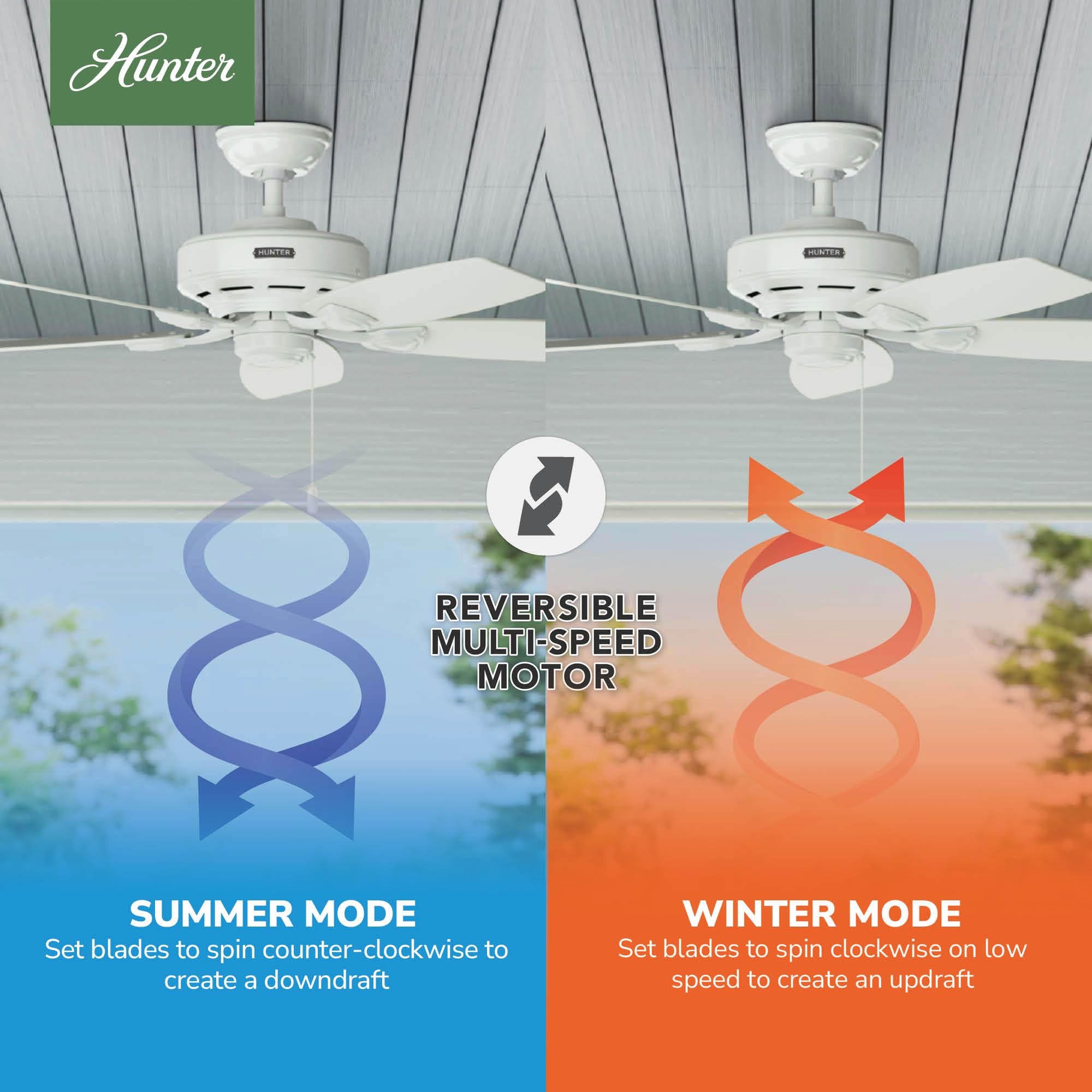 Hunter Sea Wind Indoor/Outdoor Ceiling Fan with Pull Chain Control