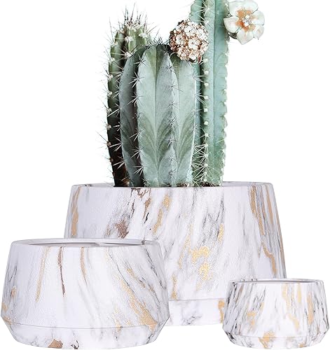 Macetas, macetas para exteriores, para todos los jardines del hogar, suculentas (impresión de transferencia de agua)