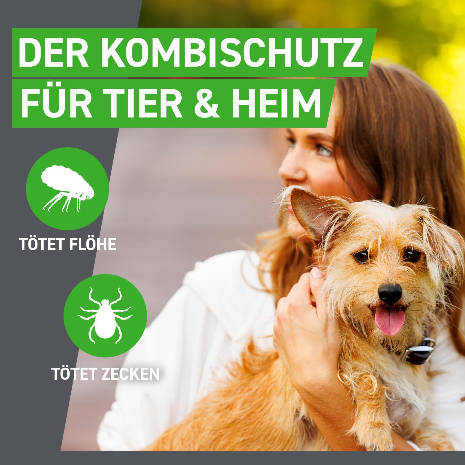 FRONTLINE Combo Hund M gegen Zecken, Flöhe & Haarlinge (10 bis 20 kg) | 3x Pipetten (3er Pack) für bis zu 9 Monate Schutz - gegen Floheier, Larven & Puppen im Haushalt - wasserfest