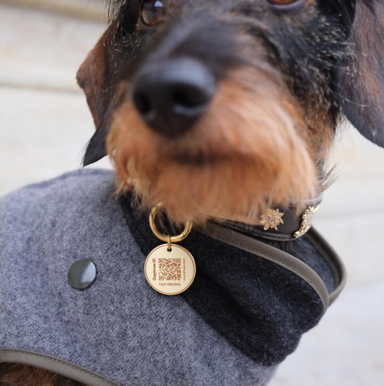 DAPHNEE ID TAG Brass Dog Tags with QR Code, Pet Online Profile, Scan the QR Instantly Receive a Pet Location Notification - Image 4