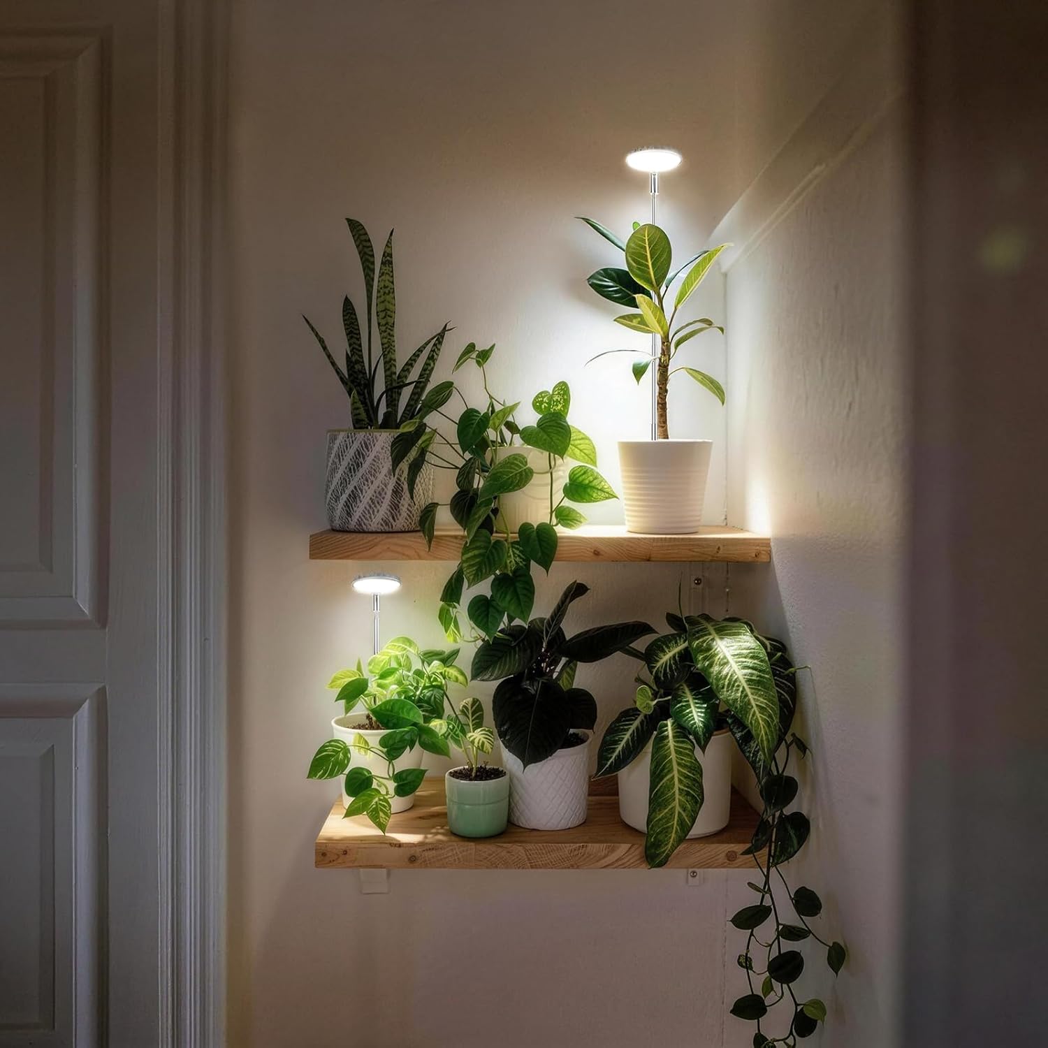 12W Stake & Desktop Grow Light for Indoor Growing,12W Grow Light with Stake High PPFD,Full Spectrum Desk Growth Lamp with Automatic Timer,4 Dimmable Levels,Height Adjustable 25"-68"（White