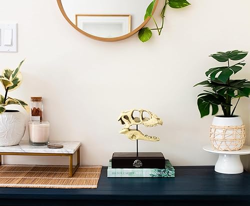 Miniatura 7 de Jurassic World Velociraptor Skull - Réplica de pisapapeles de 8 pulgadas  Decoración nostálgica de dinosaurio para escritorio de oficina