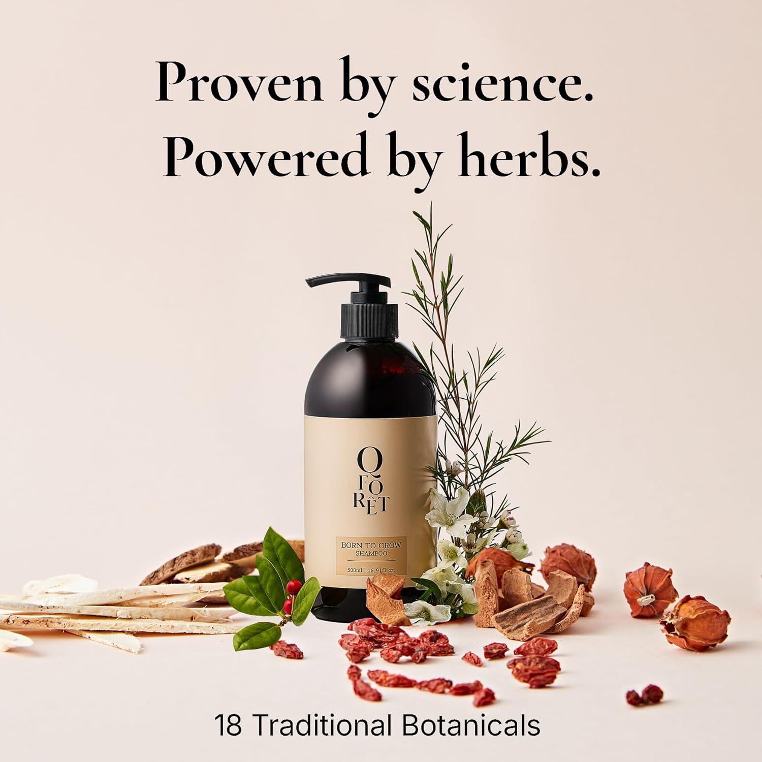 Born to Grow Scalp Shampoo for Oily Itchy Scalp Relief | Clarifying Korean Herbal Care Promotes Healthy Hair Shine Volume | SLS Free pH 5.5 K Beauty 16.9 fl oz - Image 4