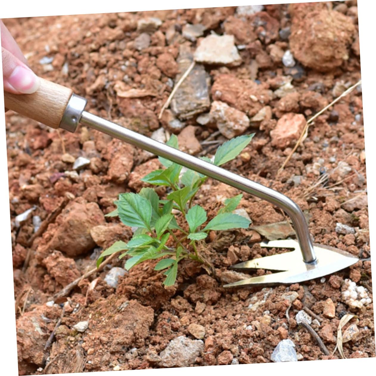 MILISTEN 4stücke Multifunktions-unkrautwerkzeug Mit Ergonomischem Holzgriff Effektiver Und Gartenpflege-rake Einfachen Entfernen Von Wurzeln Und