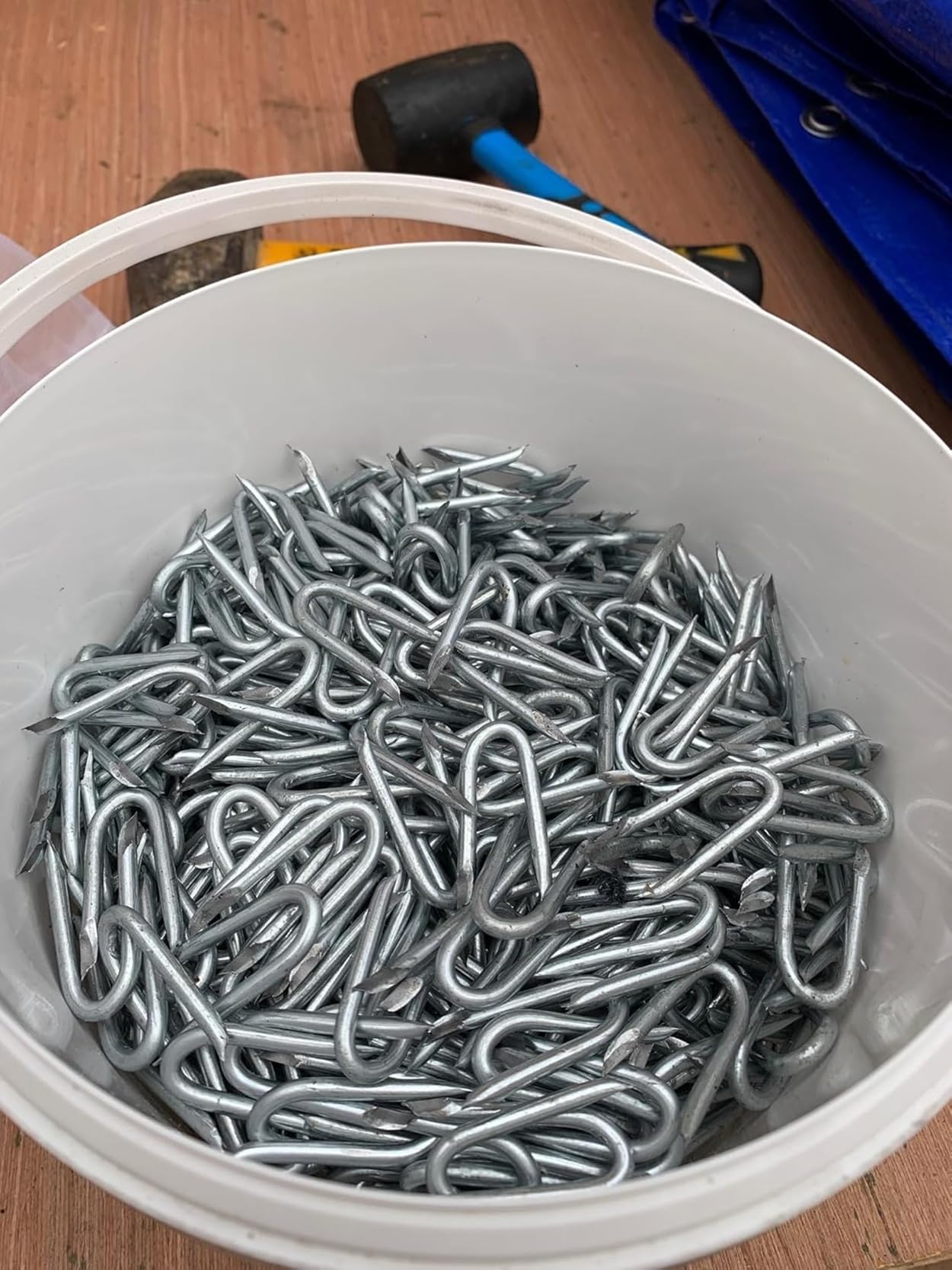 F&G Supplies 5kg tub of fencing staples, galvanised - 40 x 4mm - approx. 600 staples