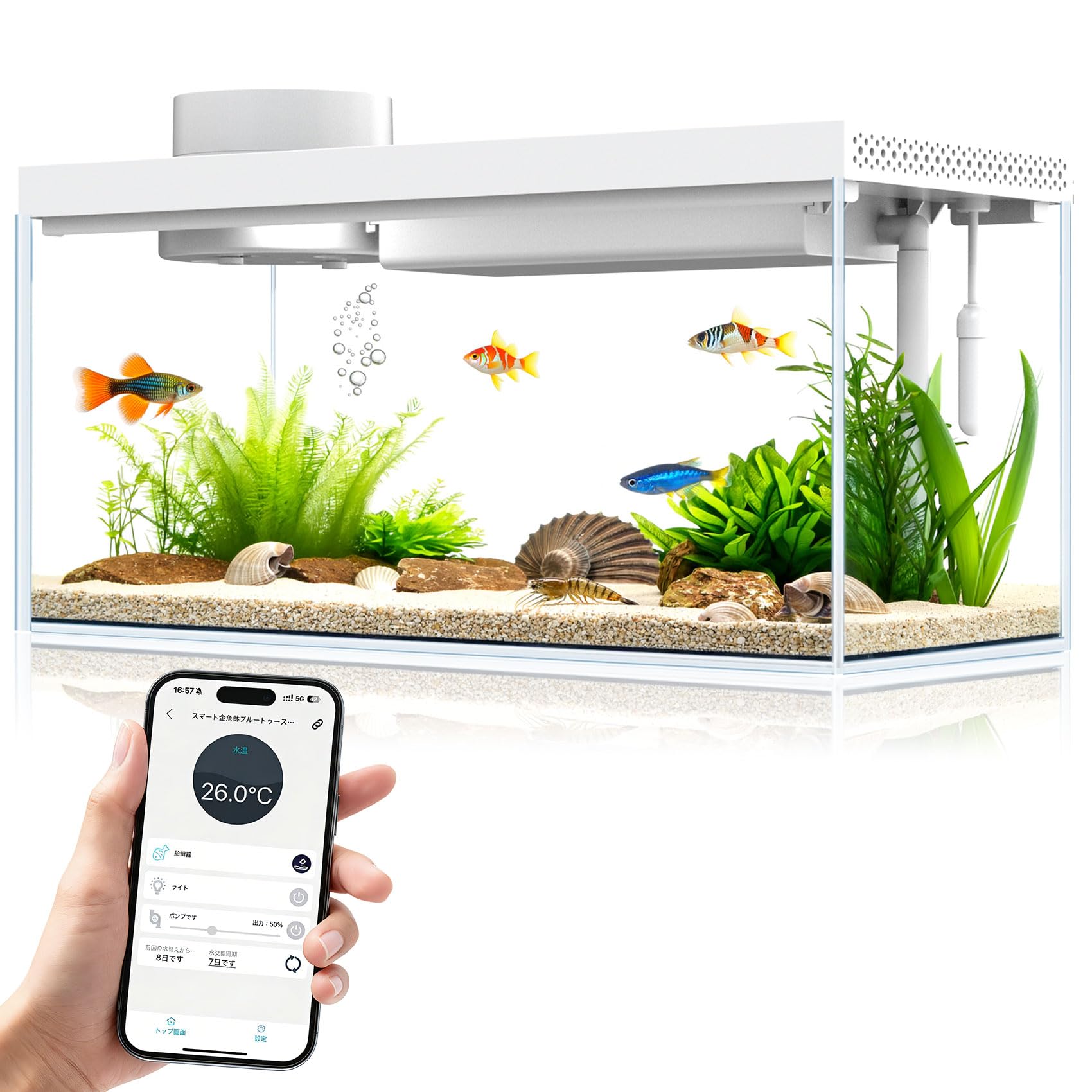 インテリア水槽 Amazon | 小型スマート水槽 デスクトップ水槽キット5L ガラス製