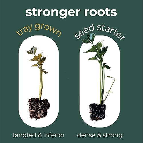 Miniatura 2 de Window Garden - Iniciador, semillas, fibra para suelo