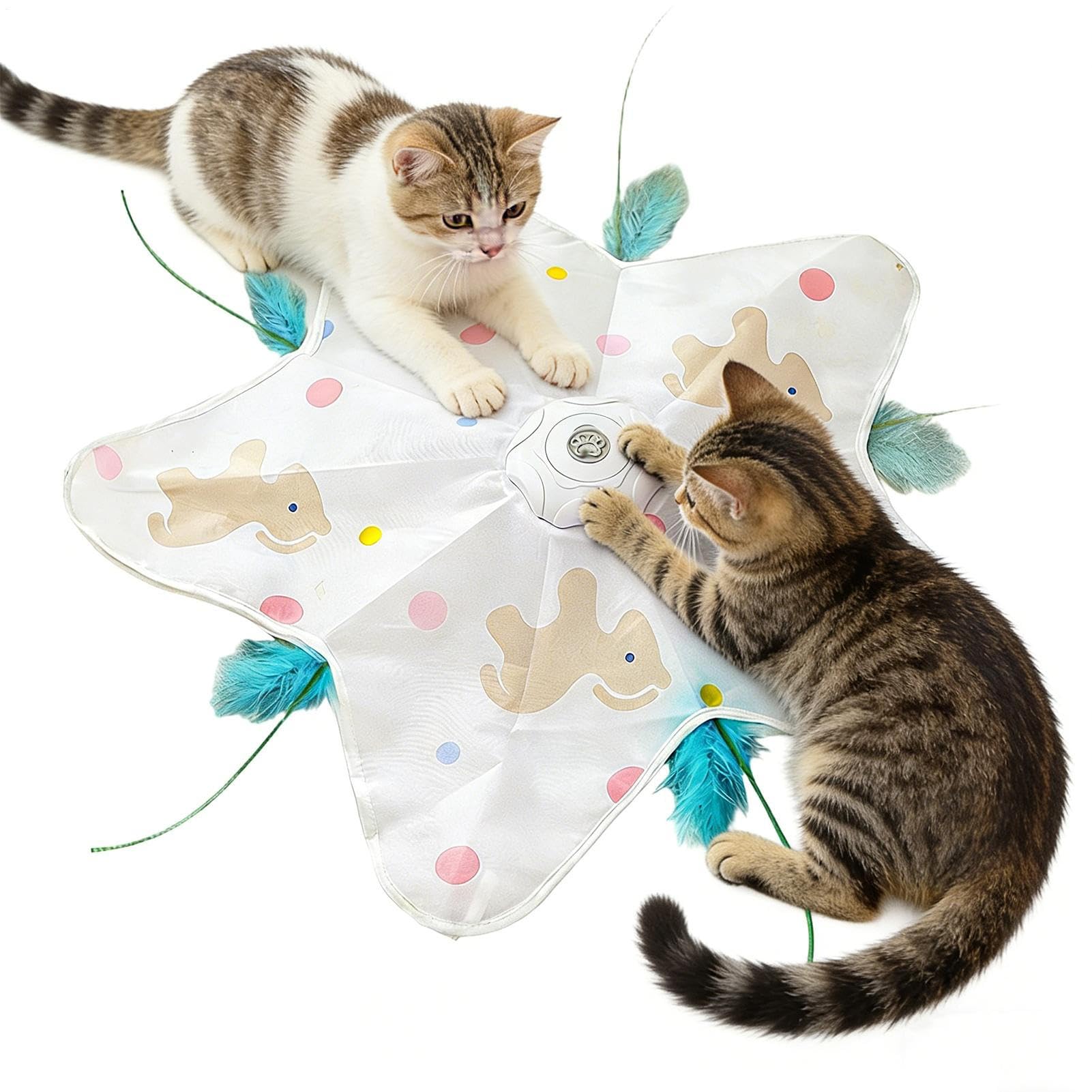 Jouet d'intérieur pour chat interactif pour occuper les chatons dans la cour