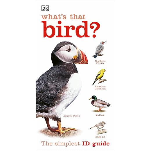 What's that Bird?: A Beginner's Guide (DK What's That?)