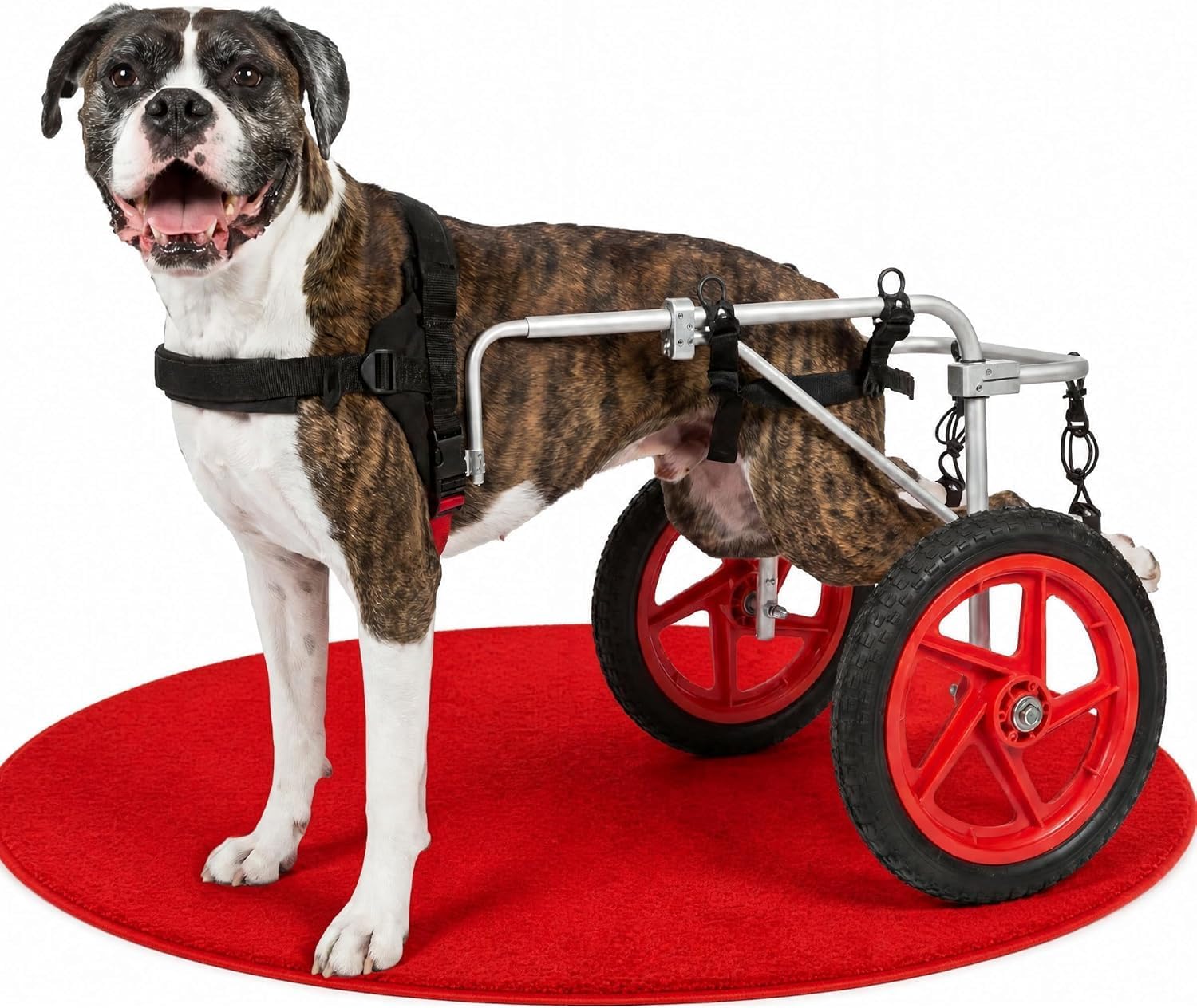 Dog Wheelchair