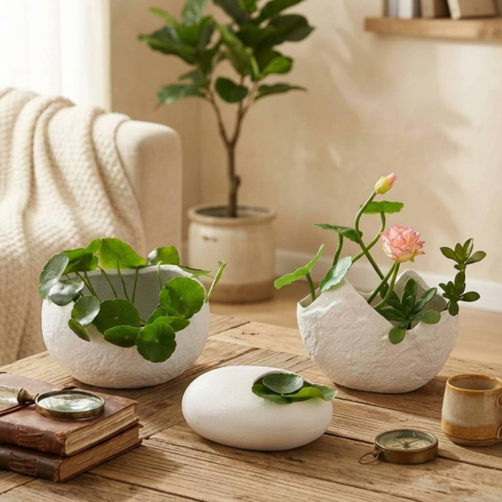 Amazon.co.jp: AWHAO 不規則形花器 ミニマル 水耕栽培花瓶 置き型