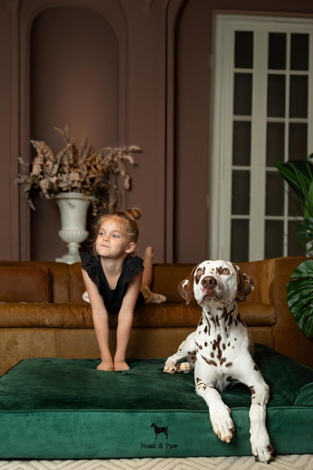 NOAH & PAW XL Dog Bed, 45x35x9.1 Inch, Orthopedic Large Dog Beds, Eggshell Memory Foam Infused with Cooling Gel, Waterproof, Machine Washable, Includes Inner Cover (Velvet Collection)