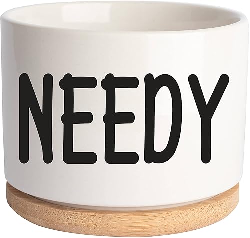 Miniatura 2 de JENVIO Maceta pequeña de cerámica para suculentas para amantes de las plantas, maceta única de cumpleaños para el día de la madre, decoración para