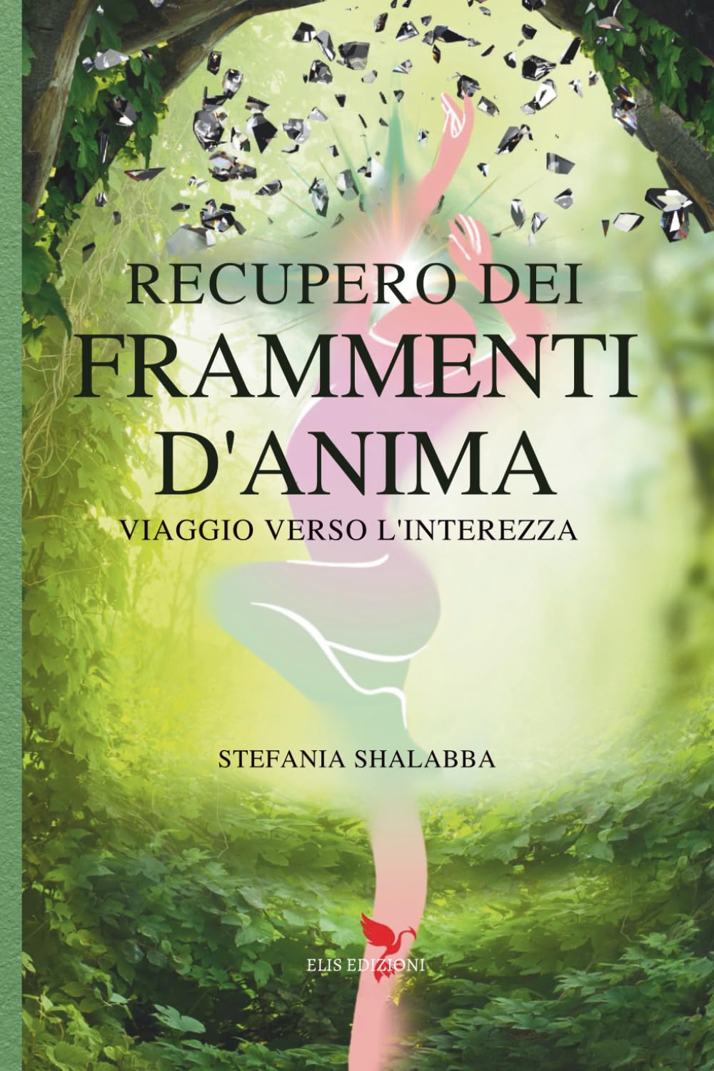 Recupero dei frammenti d'anima: Viaggio verso l'interezza (La via del risveglio)