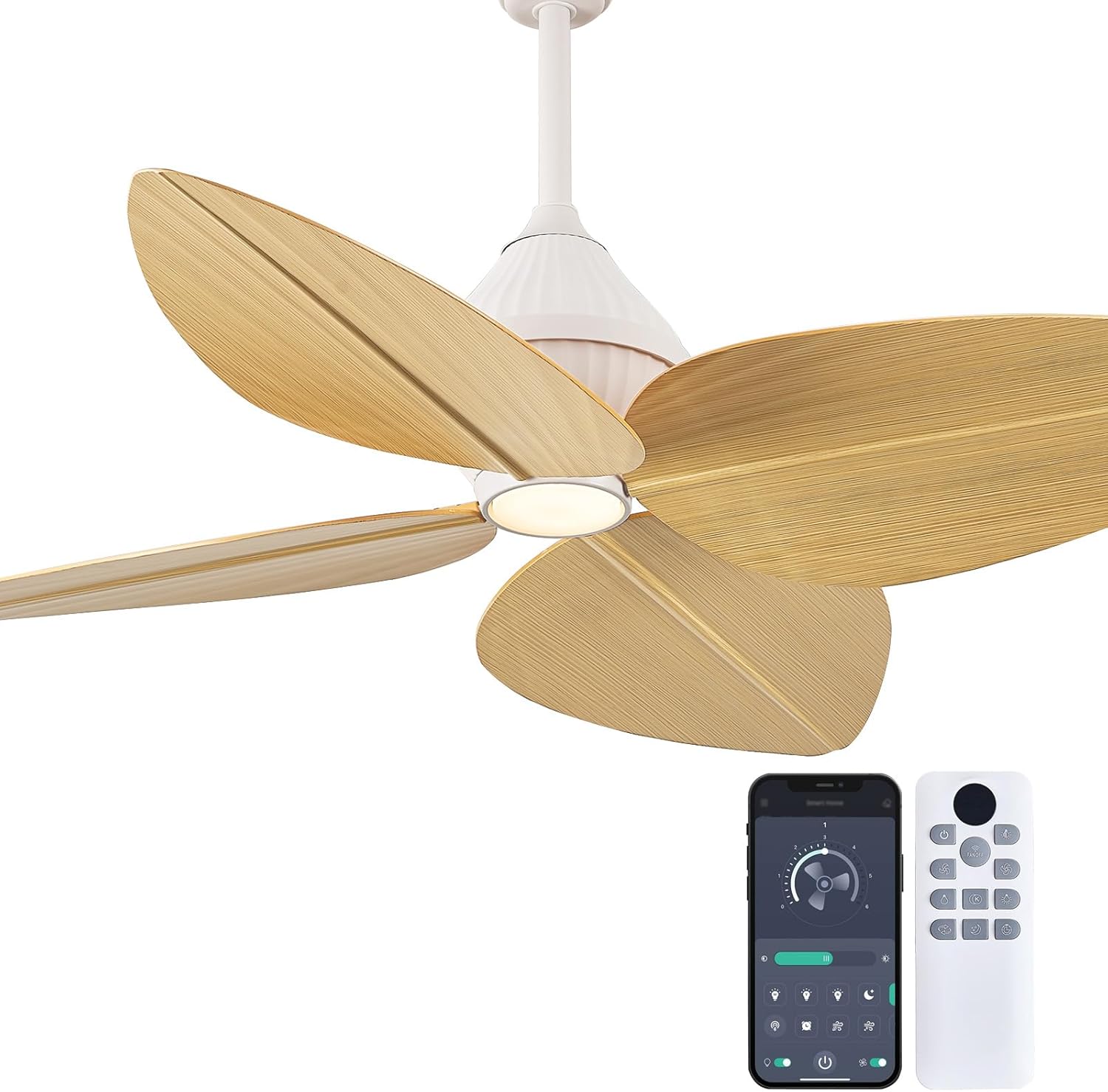 https://m.media-amazon.com/images/I/71wp8si4VPL._AC_SL1500_.jpg