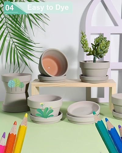 Miniatura 4 de vensovo Macetas de terracota gris de 5.7 pulgadas para suculentas poco profundas, paquete de 6 macetas de arcilla terracota con platillo, macetas de