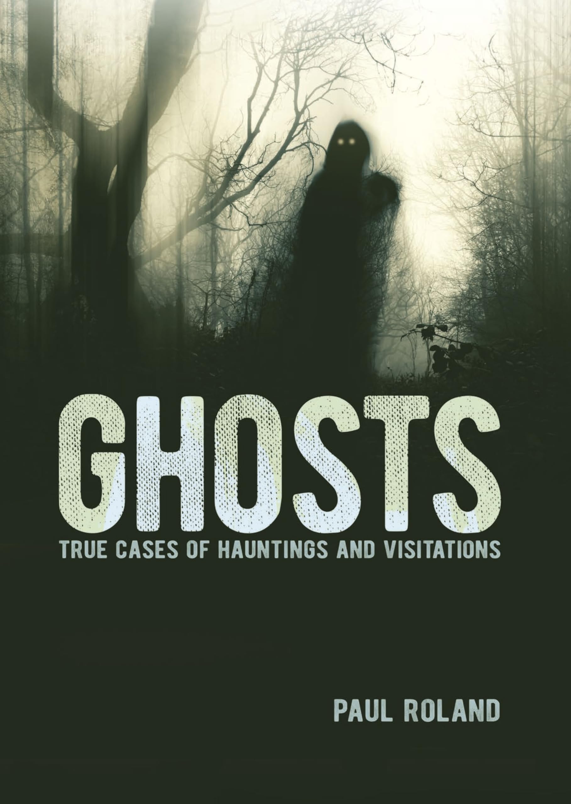 Ghosts: True Cases of Hauntings and Visitations (Arcturus Illustrated Case Files)